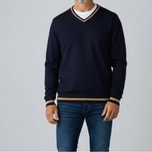 Men’s Cotton Knit Blue Tan V-neck Sweater old money  Preppy eclectic Grandpa